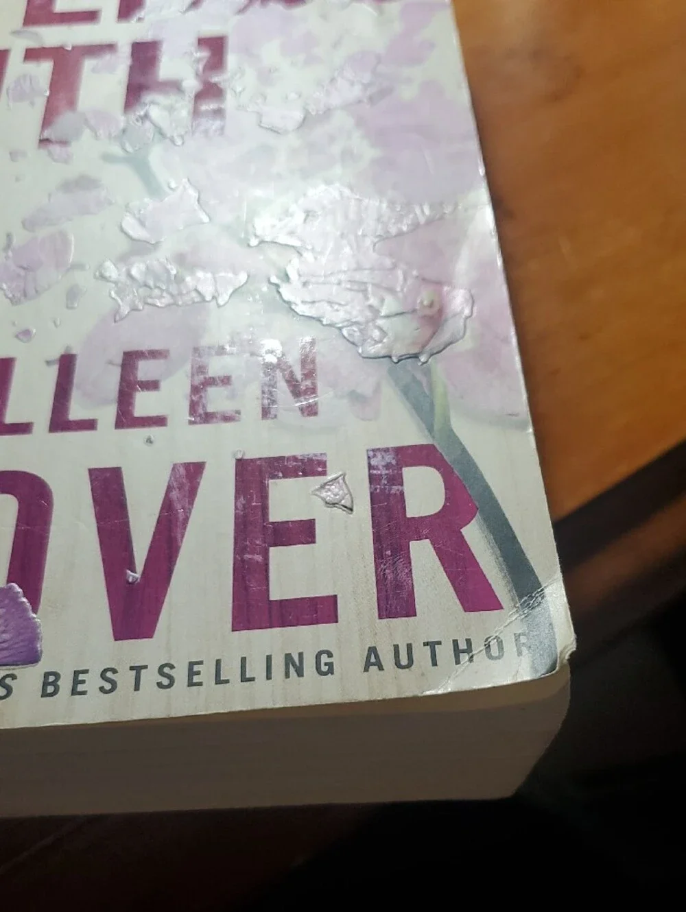 Large paperback it ends